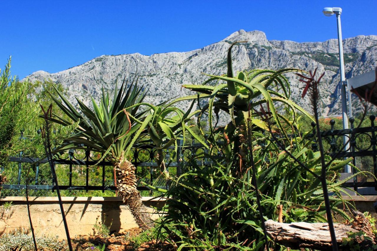 Apartments With A Parking Space Orebic, Peljesac - 10157 מראה חיצוני תמונה